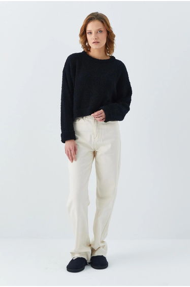 Mixray Plush Textured Crop Knit Sweater