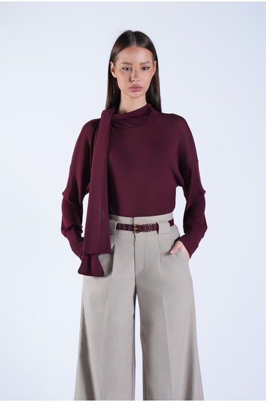 Women's Burgundy High Collar Transparent Blouse with Fixed Scarf Detail