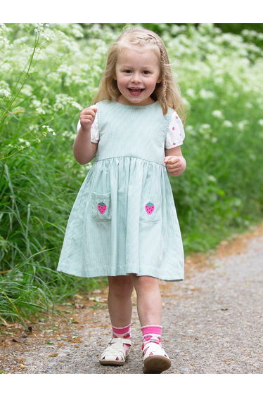 Berry Dress