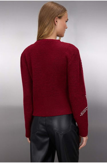 Claret Red Soft Textured Stone Embroidered Knitwear Cardigan product thumbnail 4