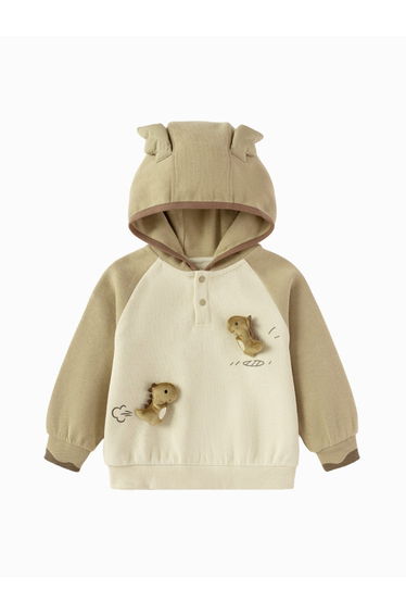 Boys' Hoodie with Dinosaur AppliquÃ© and Ear Hood