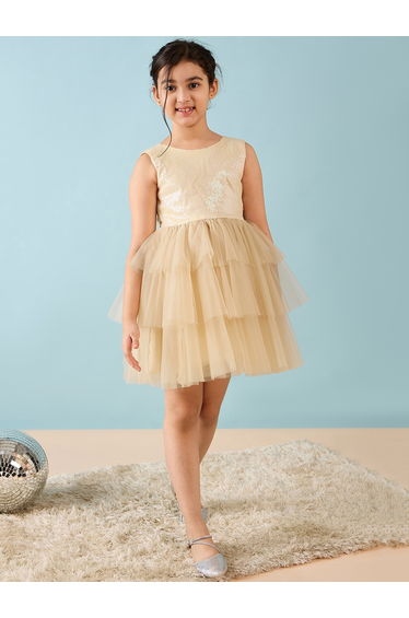 Sequined Embellished Tulle Dress
