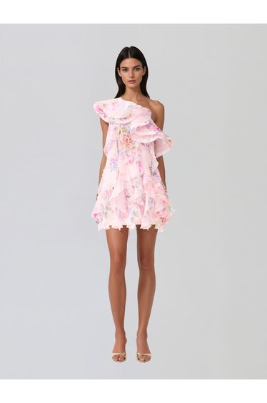 Kylvaron One Shoulder Floral Ruffle Mini Dress