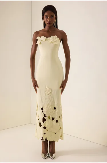 Off-Shoulder Floral Appliquéd Midi Dress
