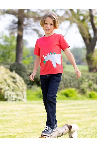 تيشيرت