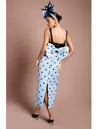 فستان كوست فاشن متعدد الالوان ميداكسي منقط بقصة مستقيمة - 2