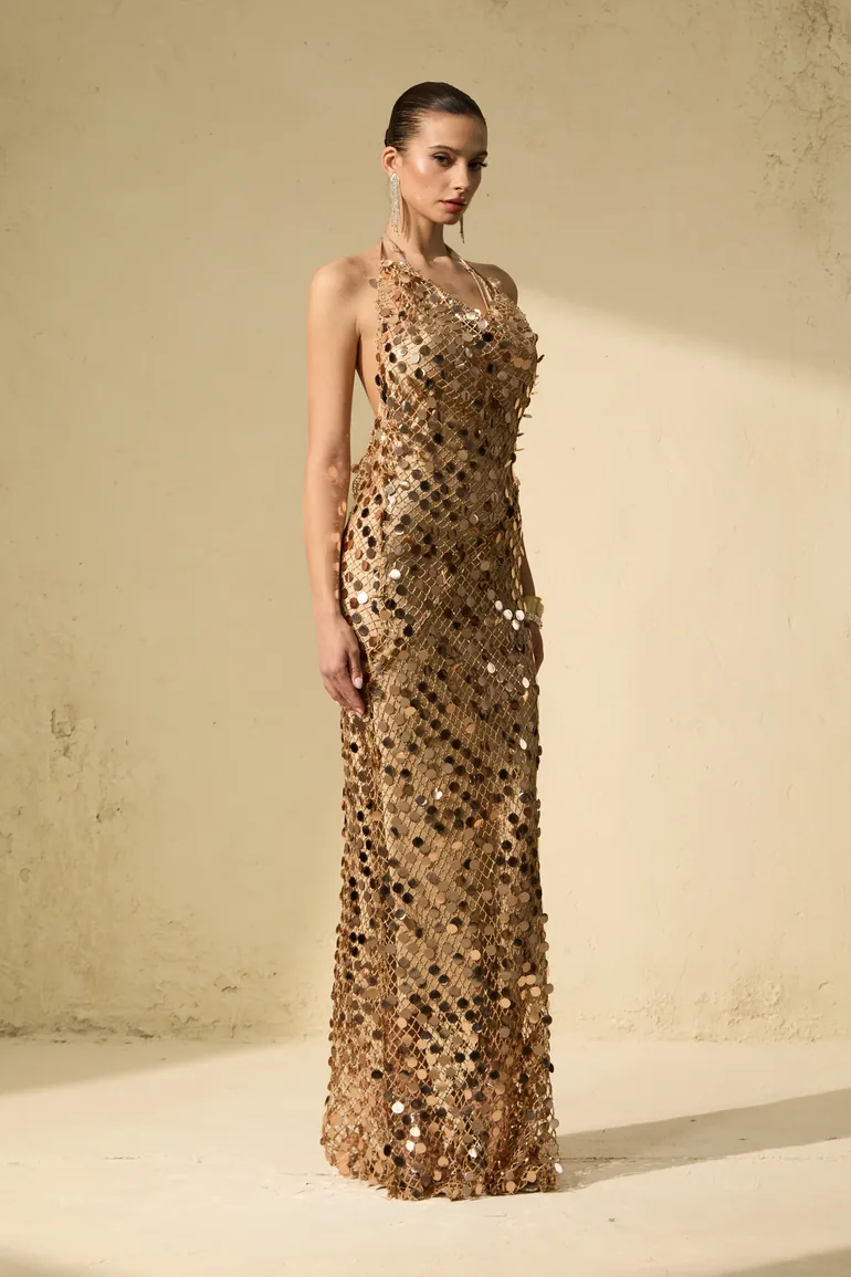 Radiance Starlet Gold Sequin Fishnet Maxi Dress - 3
