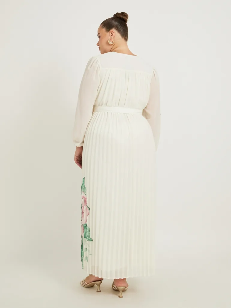 Plus Size Floral Print Pleated A-Line Maxi Dress - 4