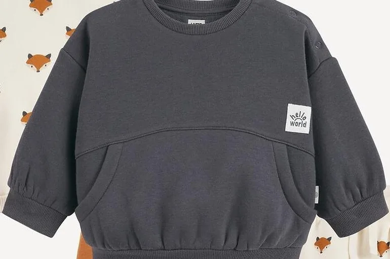 2 Sweatshirts and Joggers in Fleece in 2-Piece Sets with Fox Theme - 1