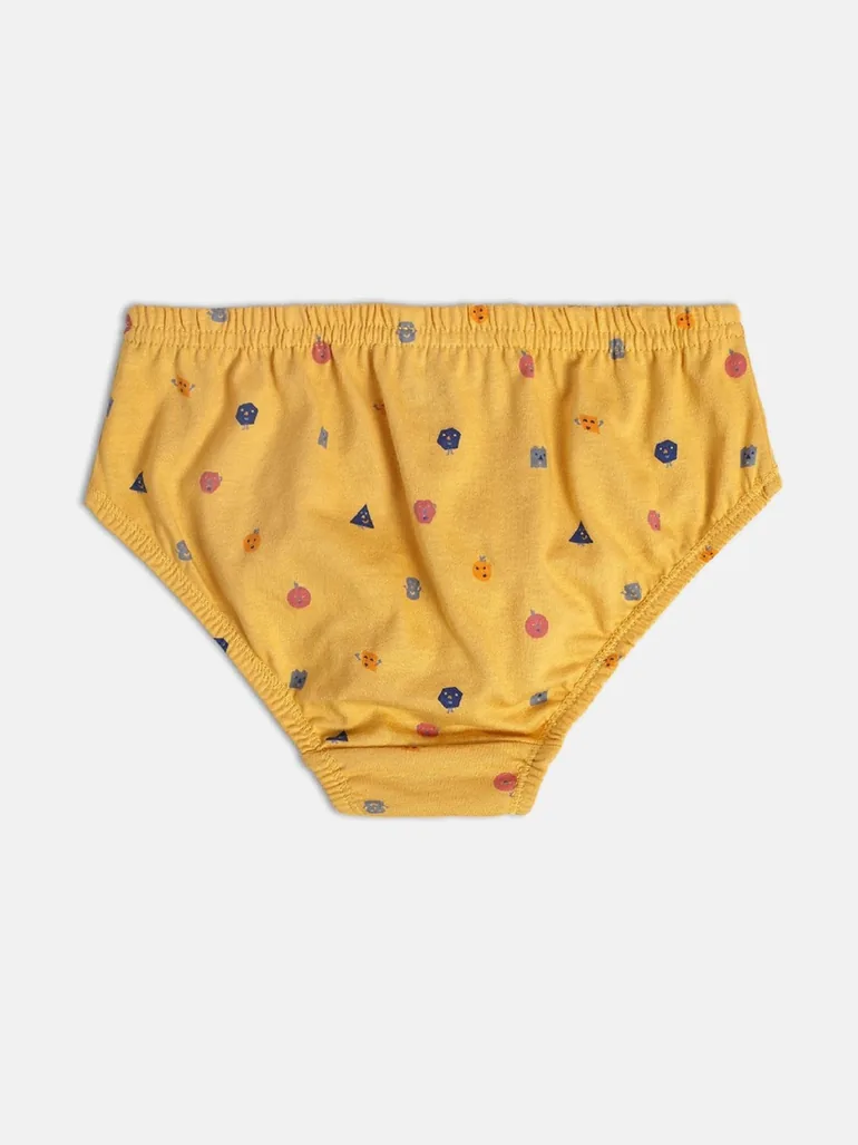 Pack of 2 - Boys Cotton Knitted Briefs - 4