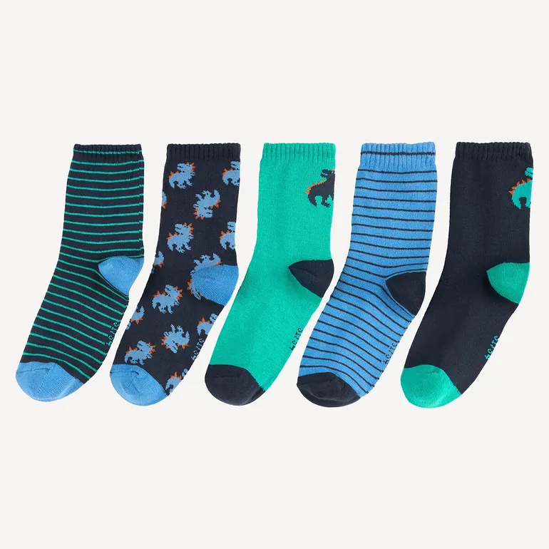 Pack of 5 Pairs of Socks