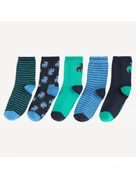 Pack of 5 Pairs of Socks