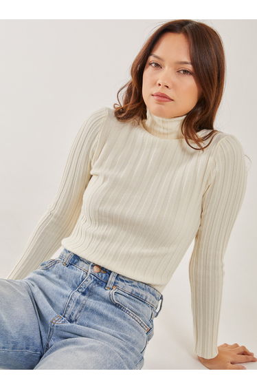Soft Knit Wide Rib Roll Neck Top