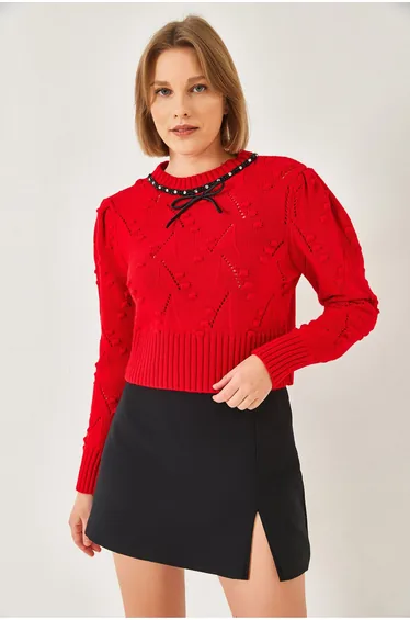 LUCCI Textured Embroidered Crew Neck Fitted Crop Sweater