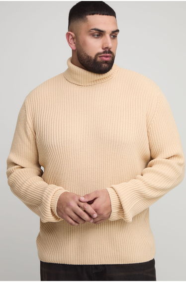 Plus Basic Regular Fit Ribbed Roll Neck Jumper - sand
