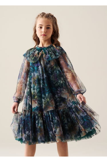 Cleo Printed Mesh Dress - Multi