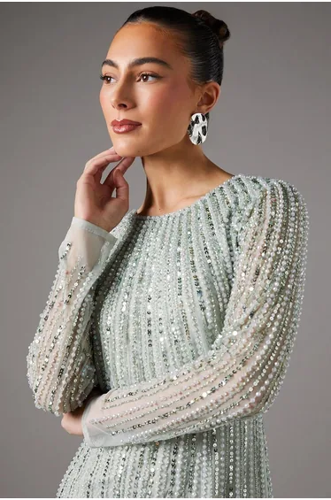 Linear Sequin Embellished Long Sleeve Dress