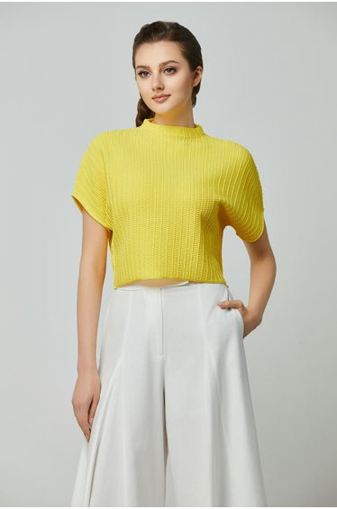 Knit Crop Top