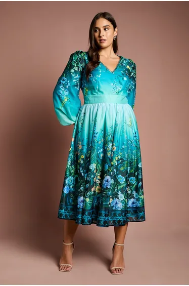 Plus V Neck Long Sleeve Placement Print Organza Midi Dress