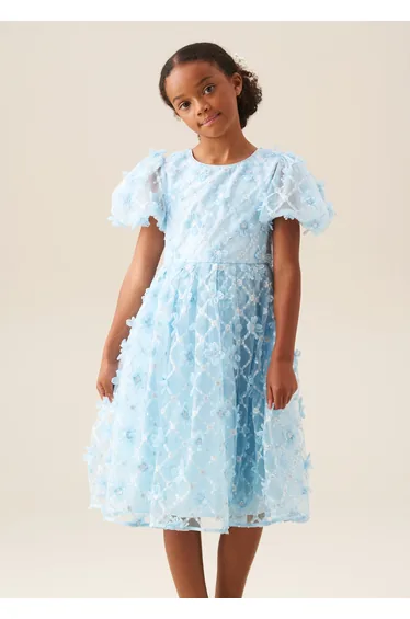 Francine Blue Embellished Puff Sleeve Dress