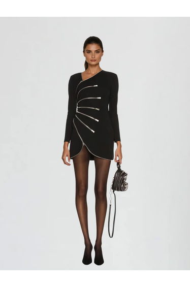 Latacia Long Sleeve Mini Dress