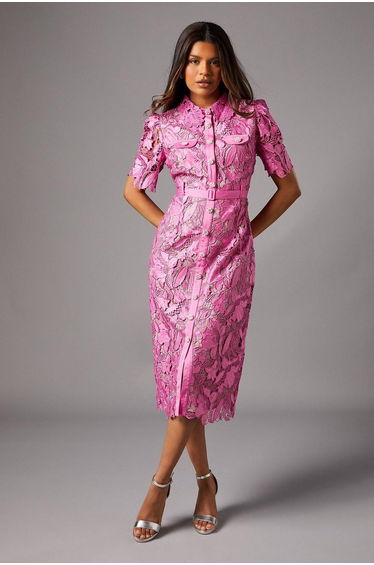Petite Lace Shirt Dress With Contrast Collar