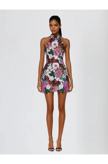 Faylen Halterneck Embroidered Sequin Mini Dress