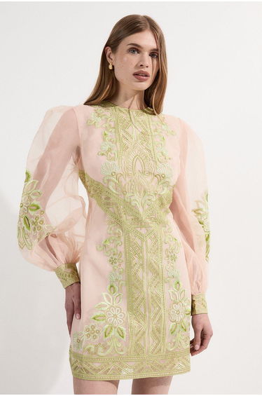 Embroidered Organdie Balloon Woven Mini Dress