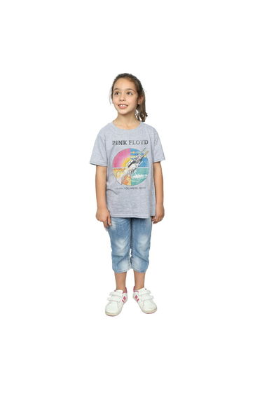 Pink Floyd Girls Wish You Were Here Boyfriend Fit Cotton T-Shirt - Sports Grey