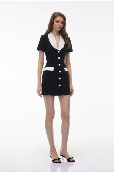 Rina Black Color Block Mini Dress