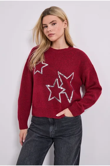 Star Detail Jumper
