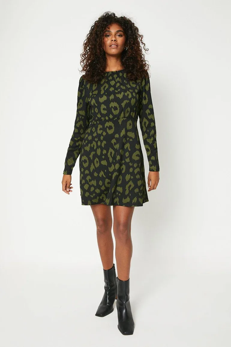 Puff Sleeve Fit And Flare Mini Dress