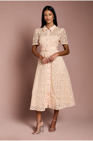 Petite Floral Lace Collared Midi Dress