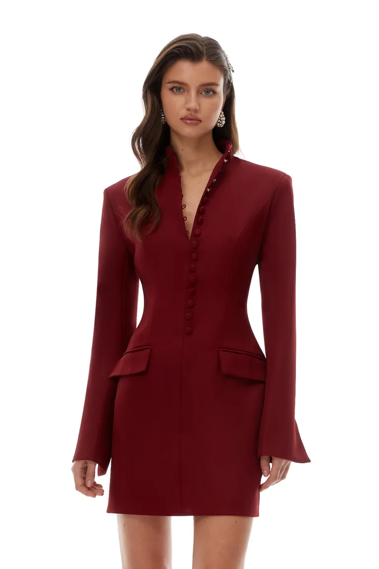 Valeria Burgundy Stand Collar Long Sleeve Mini Dress - 2