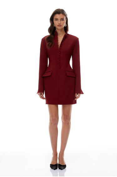 Valeria Burgundy Stand Collar Long Sleeve Mini Dress