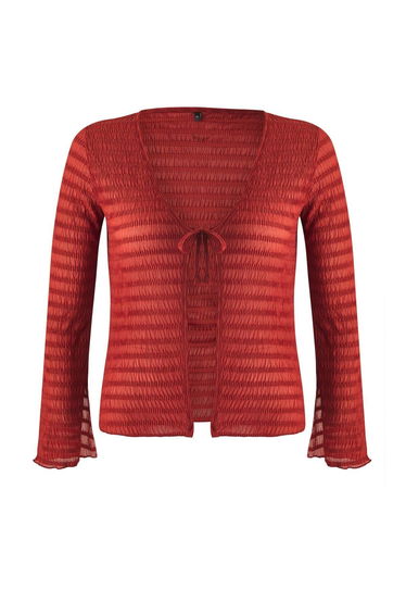 Brick Premium Tie Detailed Textured V-Neck Flexible Knit Plus Size Blouse