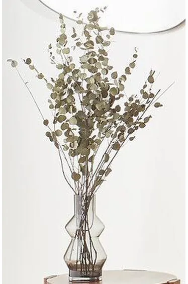 ستارة بأشرطة مخفية