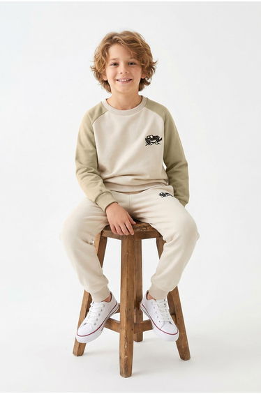 Stone Cotton Animal Printed Oversized Boy's Knitted Bottom - Top Set