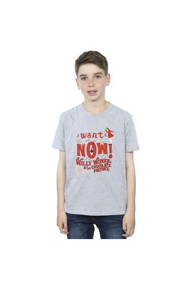 Willy Wonka Boys Verruca Salt I Want It Now T-Shirt - Sports Grey
