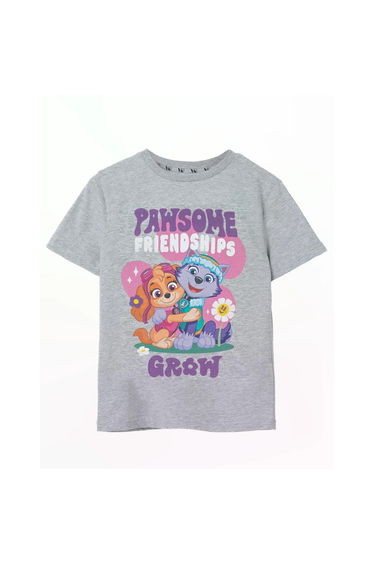 Paw Patrol Girls Pawsome Friendships Marl T-Shirt