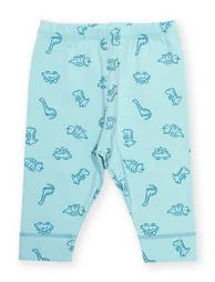Diddy Dino Leggings - 1