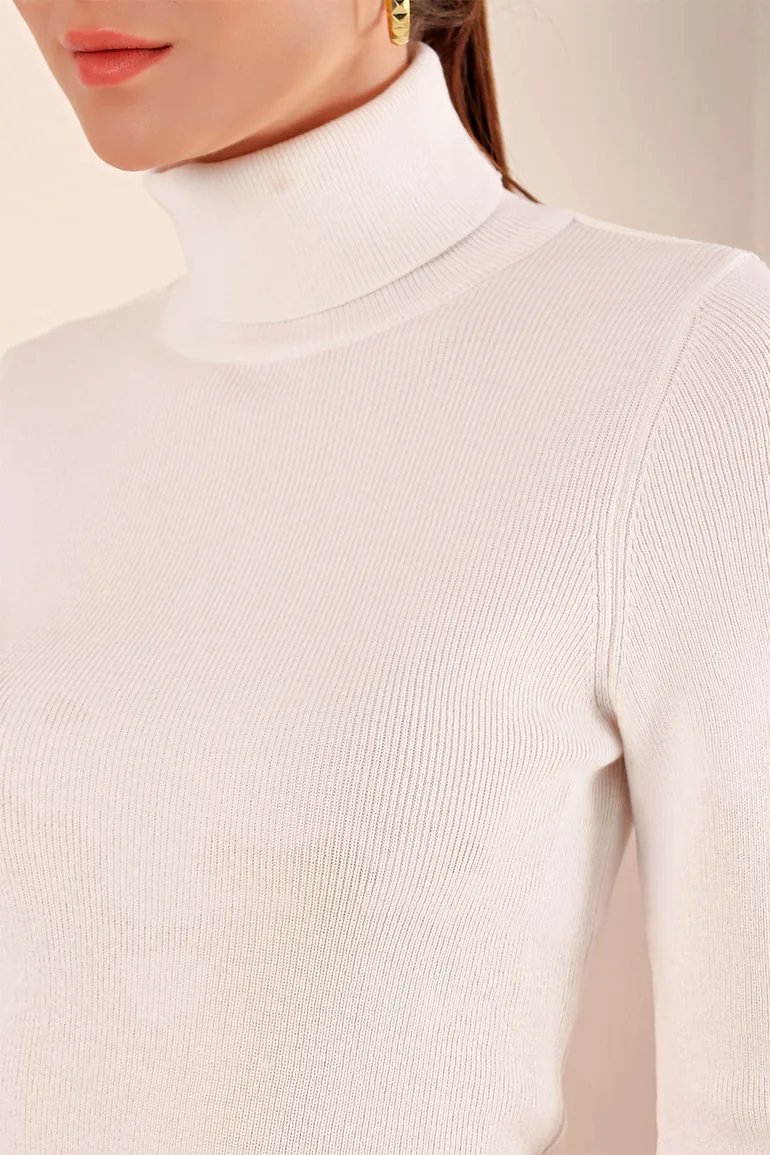BDART Fitted Turtleneck Ribbed Sweater - 1