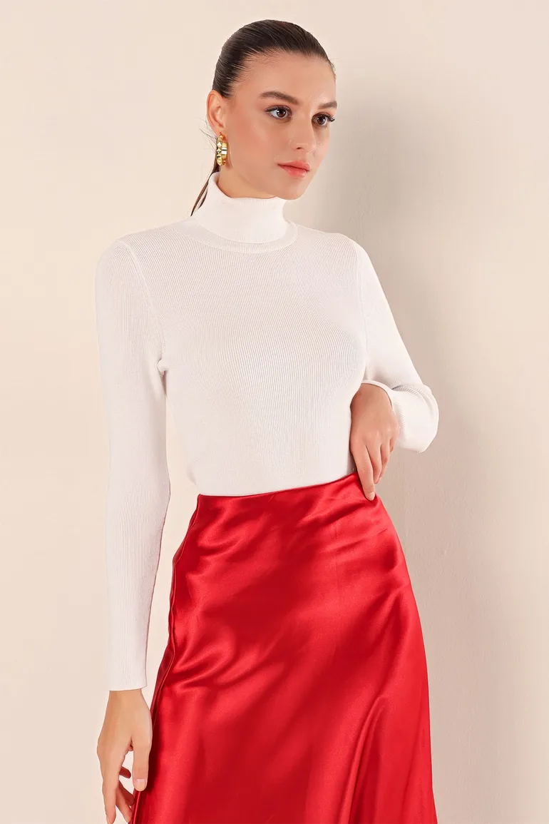 BDART Fitted Turtleneck Ribbed Sweater