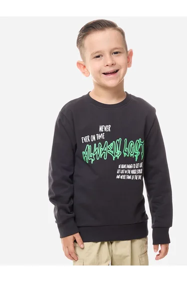 Graphic Print Regular Fit Hoodie
