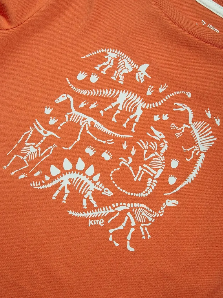 Dino Discovery T-Shirt - 4