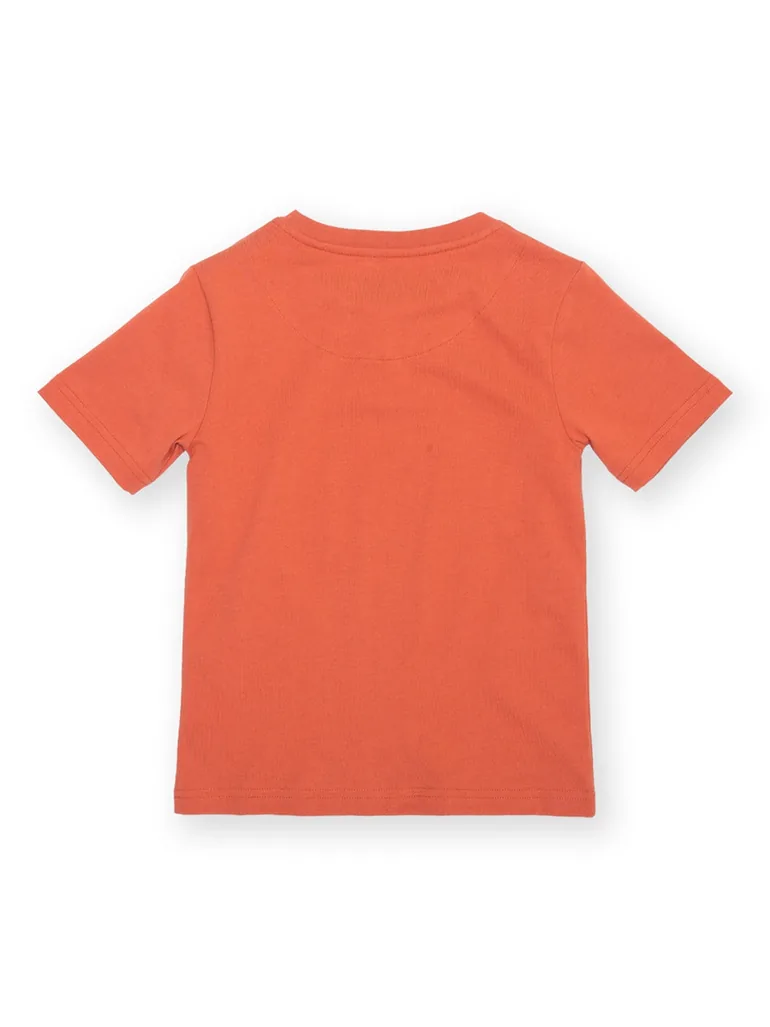 Dino Discovery T-Shirt - 3