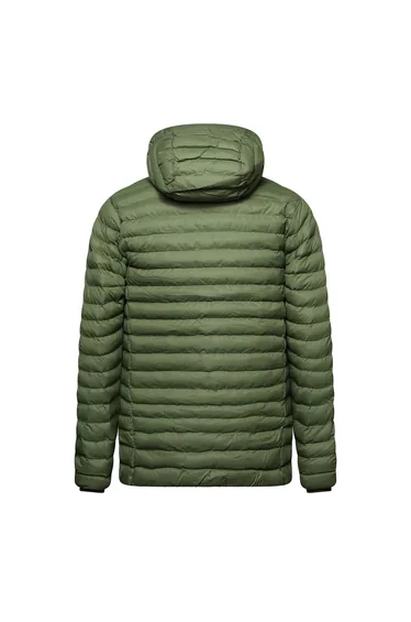 جاكيت رجالي - أخضر