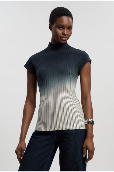 Ombre Knit High Neck Sleeveless Top