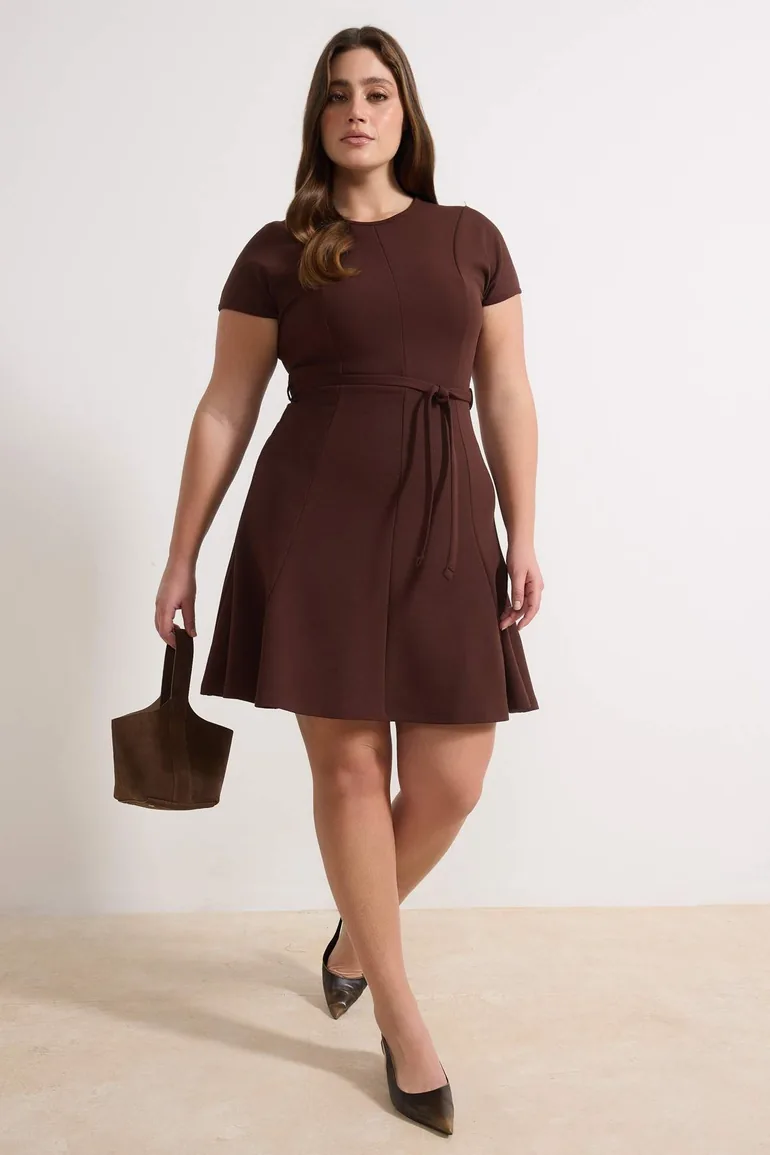 plus size brown skater dress boohoo Women's Plus Size Chiffon Ruched Waist Skater Dress