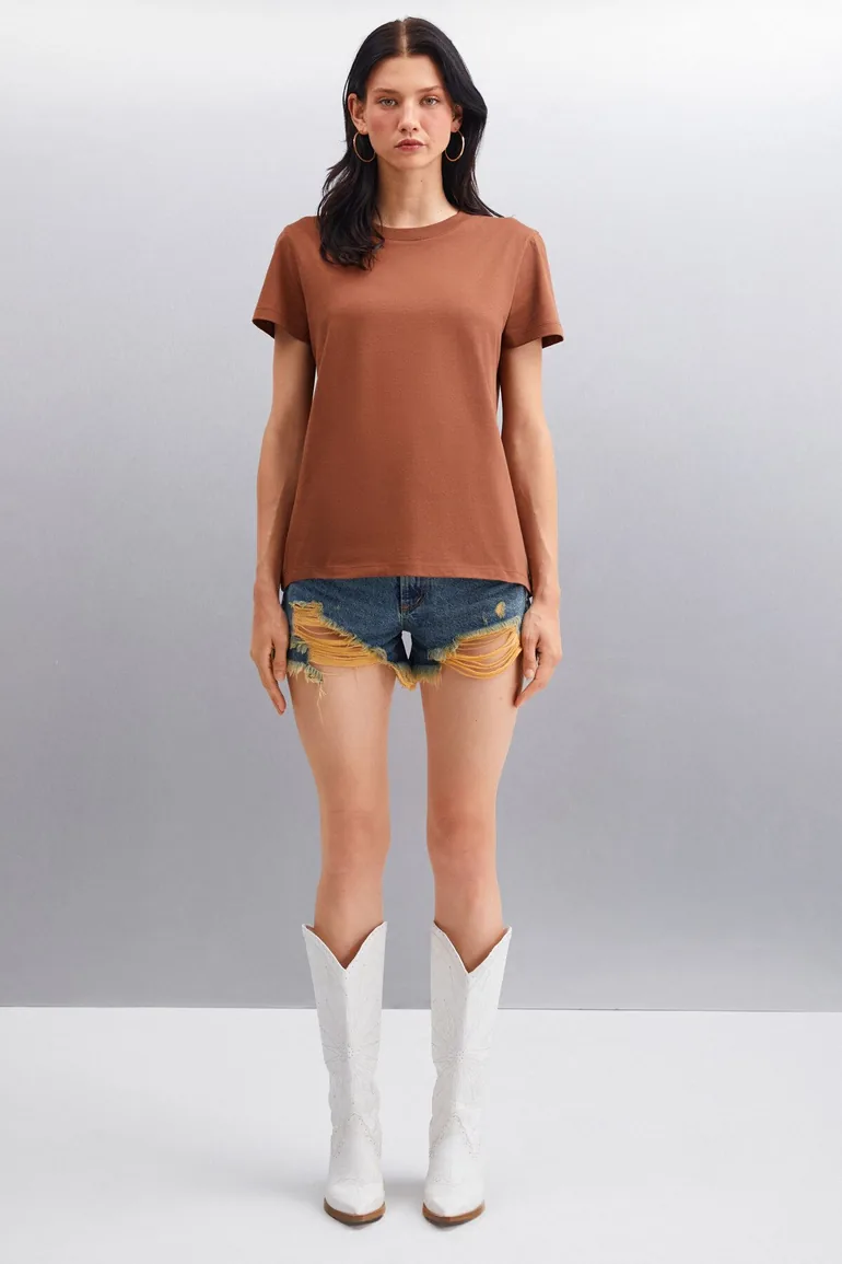 Samantha Women's 100% Organic Cotton Comfort Fit Long Back Basic Knitted Brown T-shirt